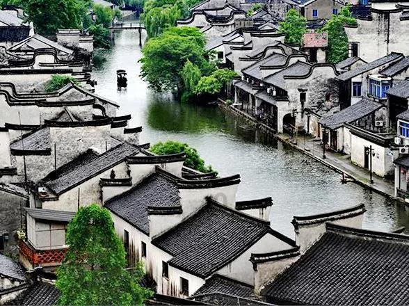 杨鸣若回归,最好下家是广东,取代杜锋拯救11冠王,还能回击辽篮